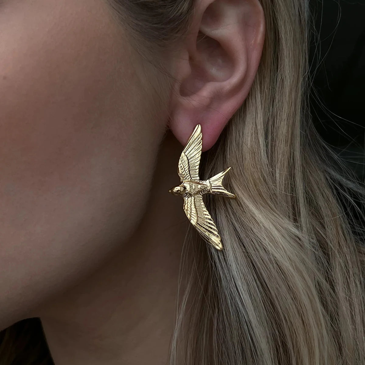 Bird Wing Studs