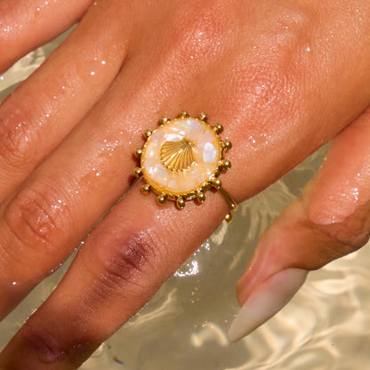 Shell Ringring